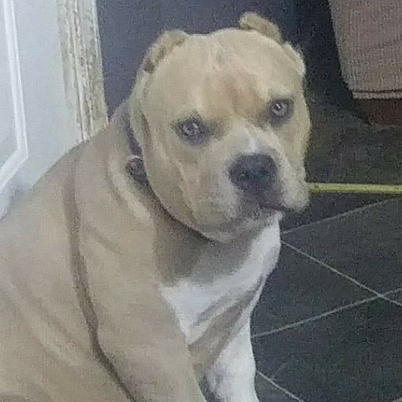 Meet your Posher, Mandy - Picture 1 of 1